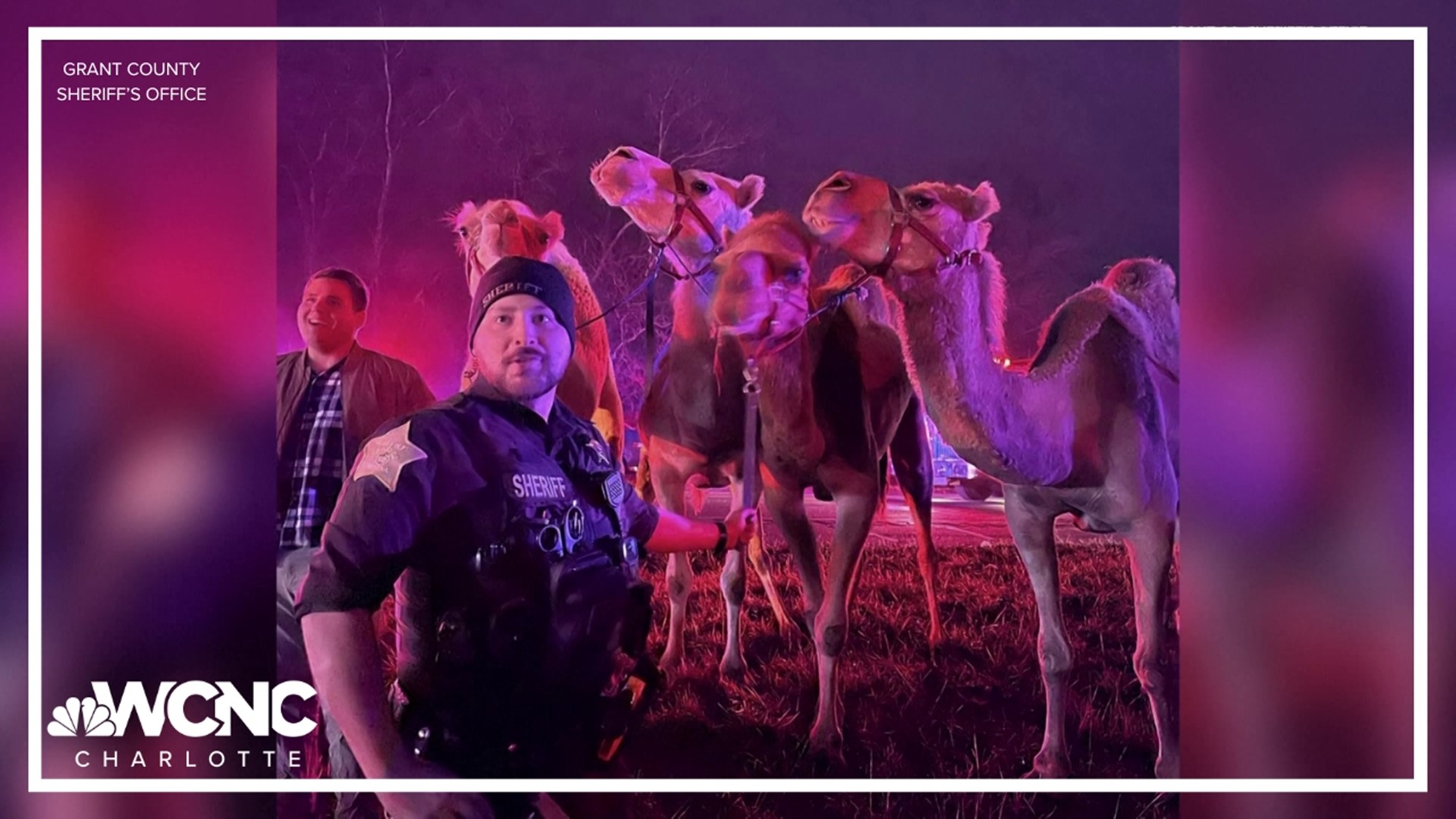 Indiana State Troopers saved dozens of animals for the Shrine Circus after a fire broke out on an interstate over the weekend.