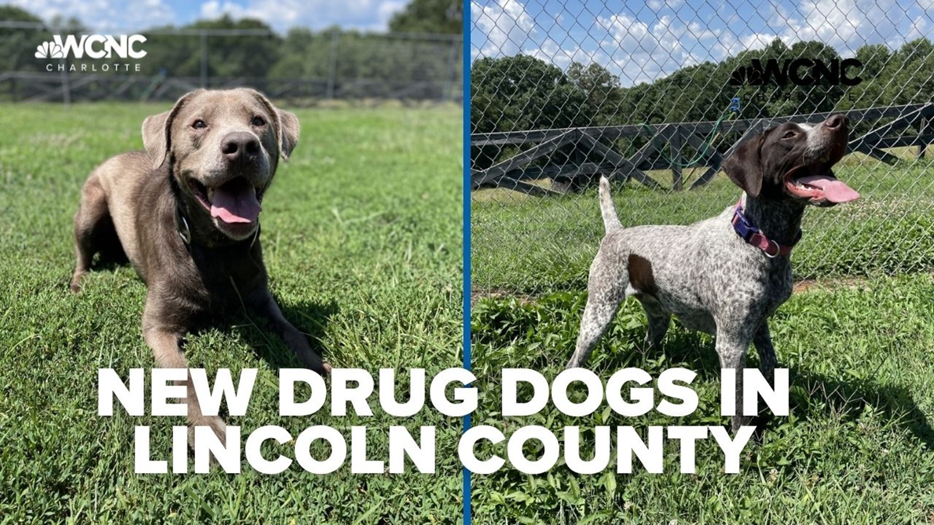Deputies in Lincoln County will soon have two K-9 officers sniffing out drugs during investigations.