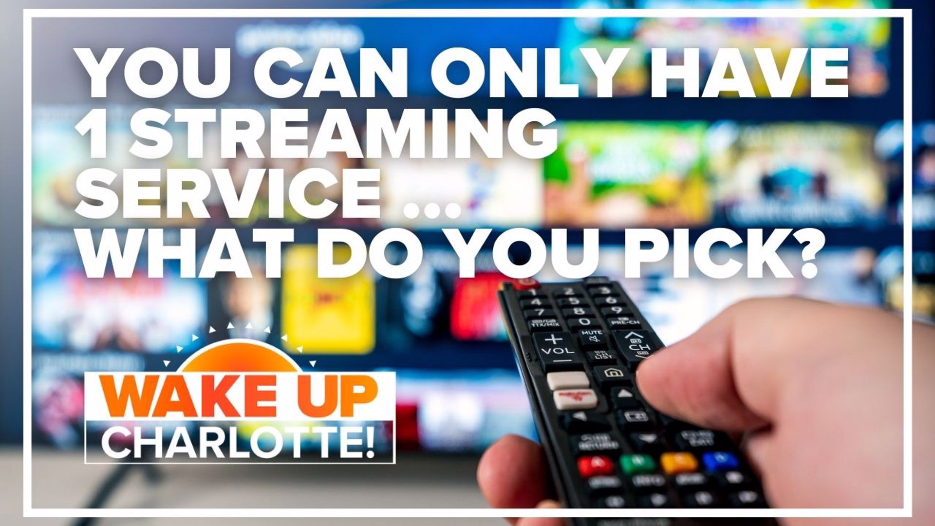 Netflix, HBO Max, Hulu, and more. The options for streaming are endless. But what if you could only have one service? Which one would you pick?