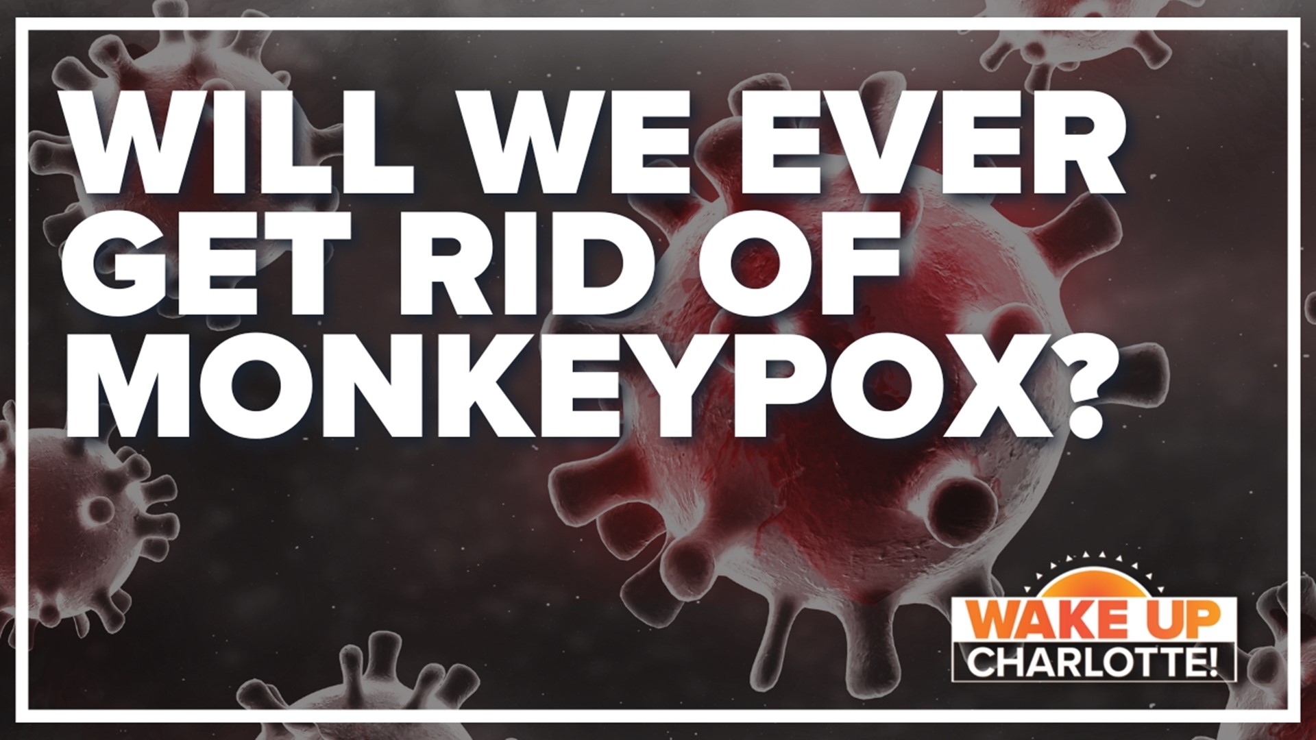 What can we do to stop the spread of monkeypox?