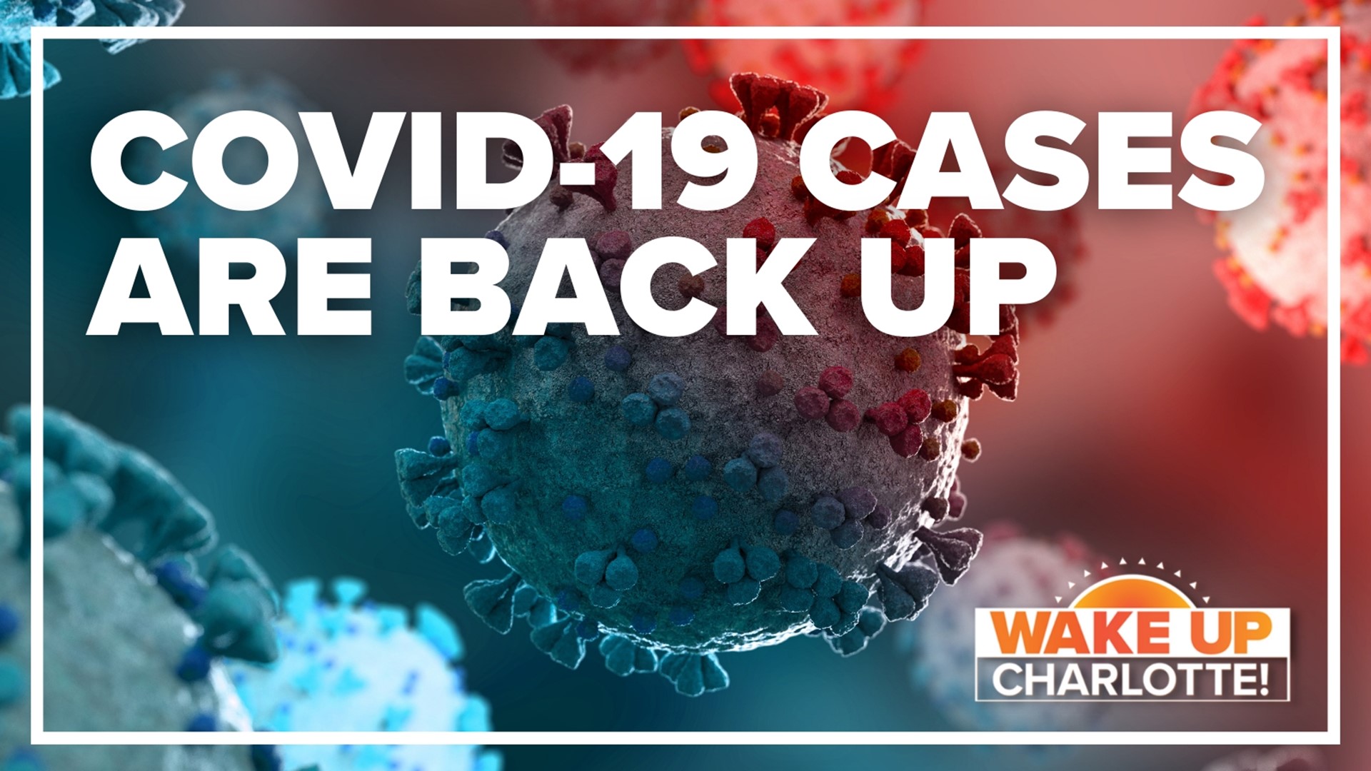 The number of North Carolinians testing positive for COVID-19 and going to the hospital has increased by 17% within two weeks.