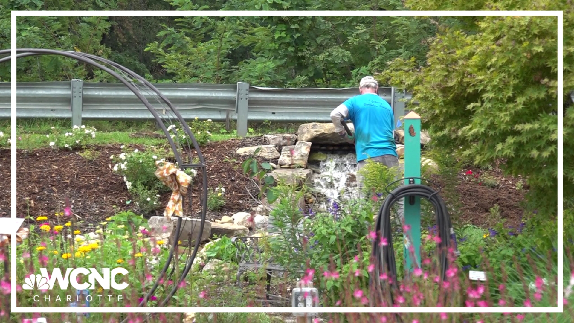 Groundhog Day tradition perseveres despite Hurricane Helene devastation ...