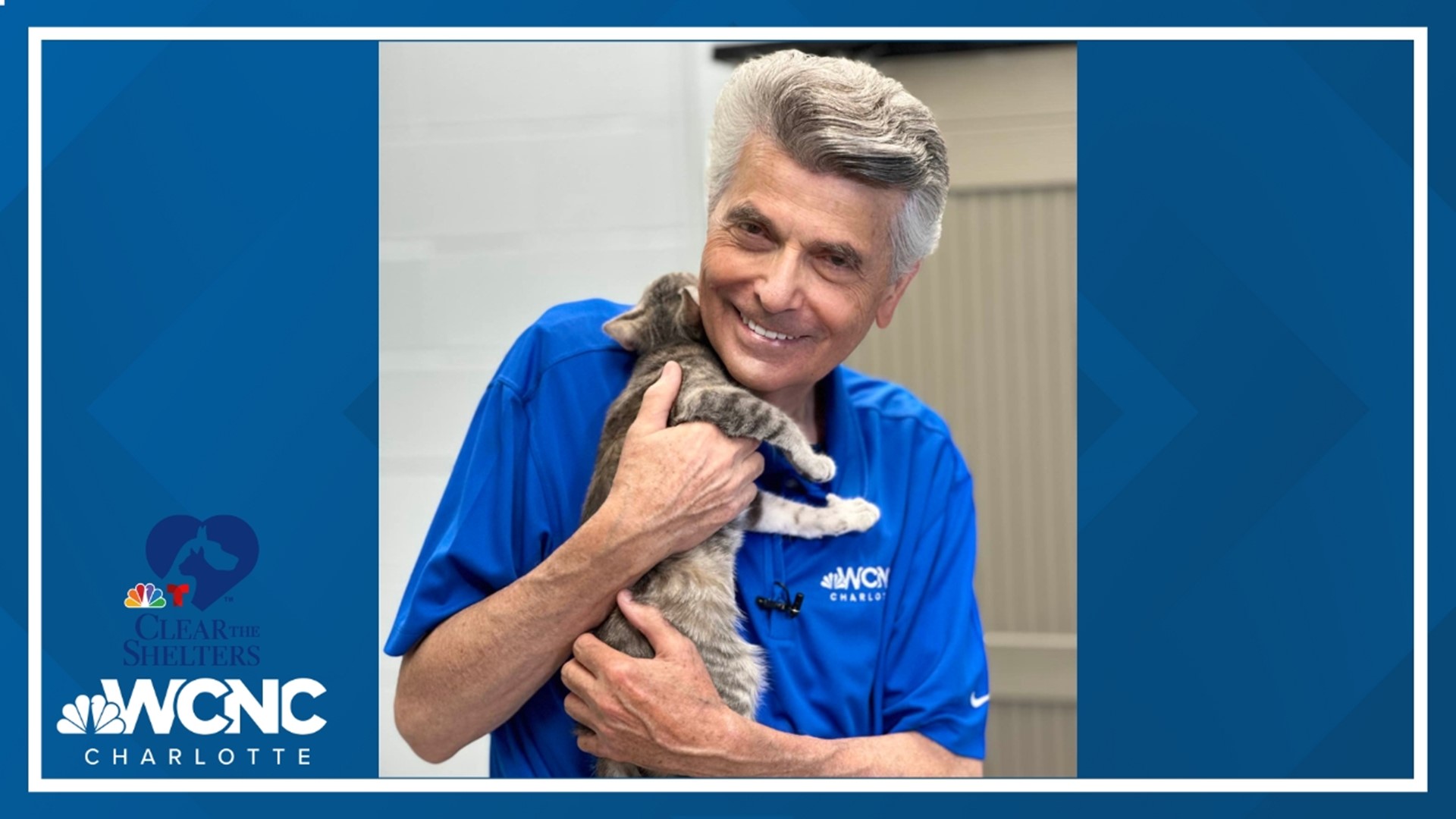 Help pets find forever homes through Clear the Shelters adoption | wcnc.com
