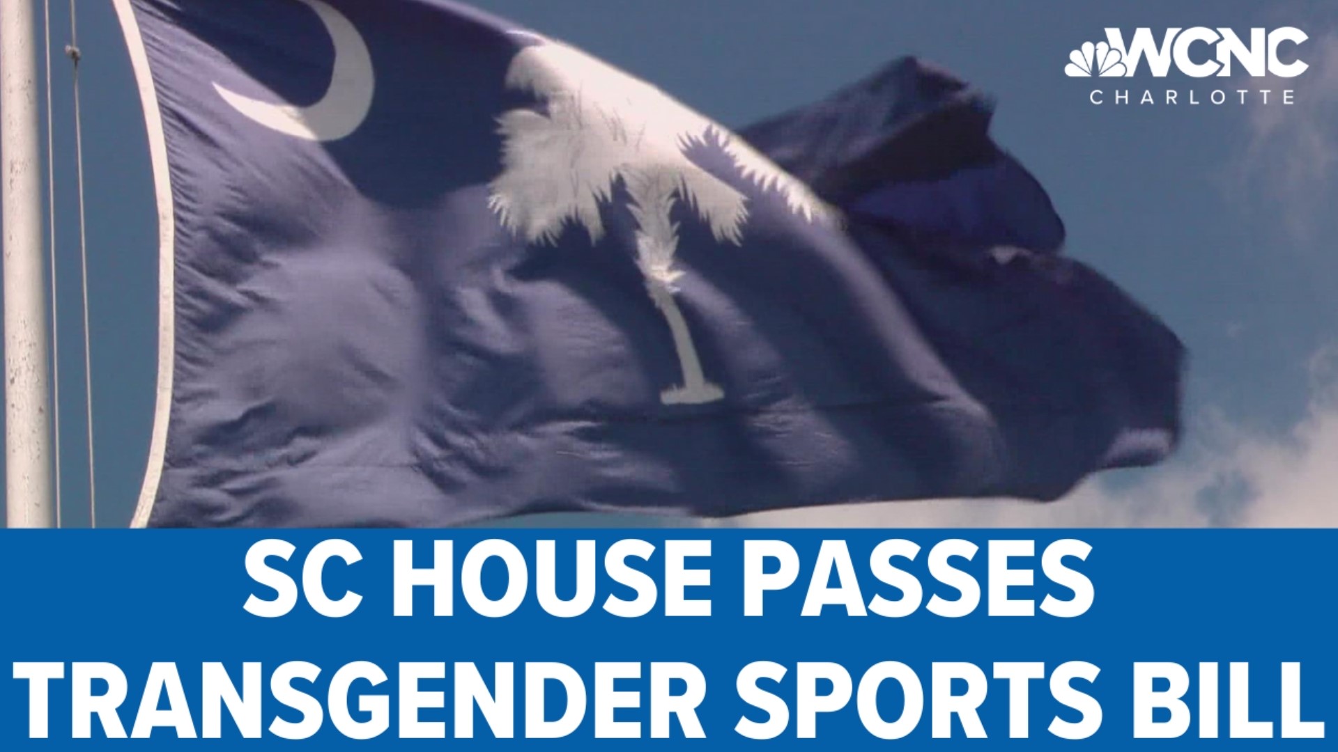 Supporters of the bill say it creates a level playing field for female athletes; those opposed to the bill worry it negatively impacts students who are transgender.