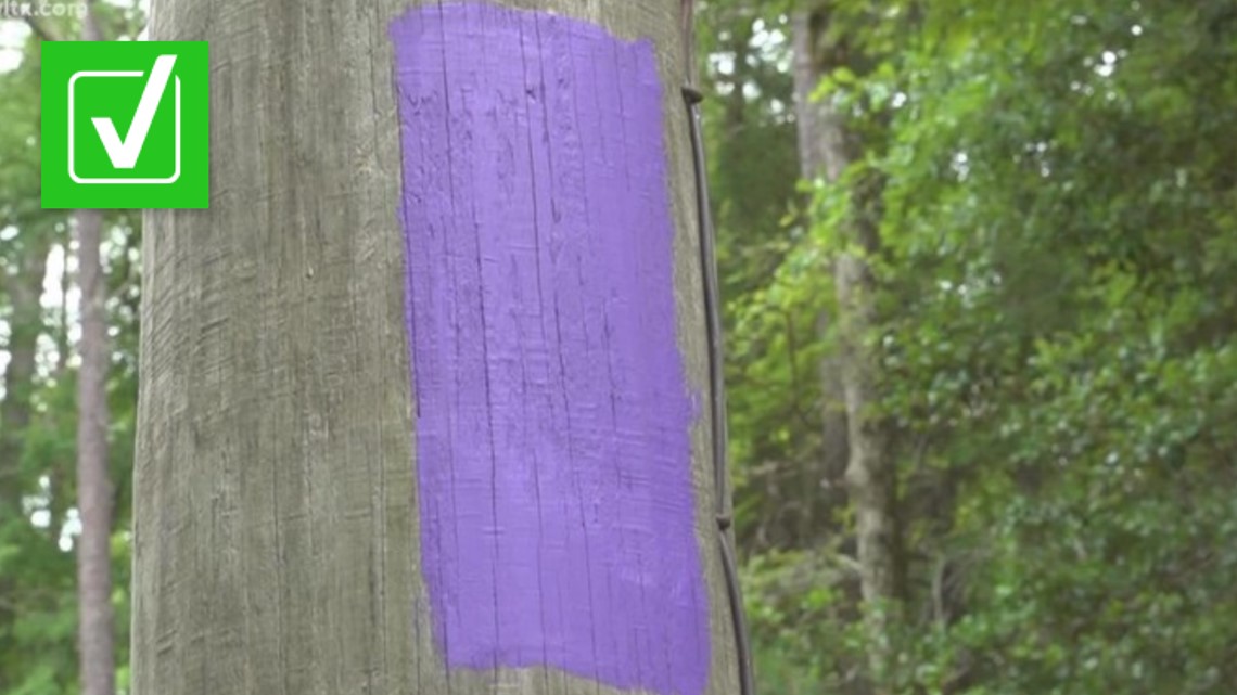 What does it mean when there's purple paint on trees?