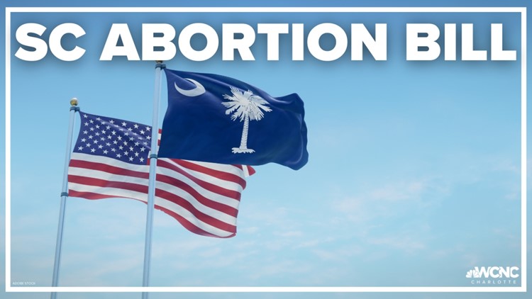 Abortion floor debate splits SC Republicans