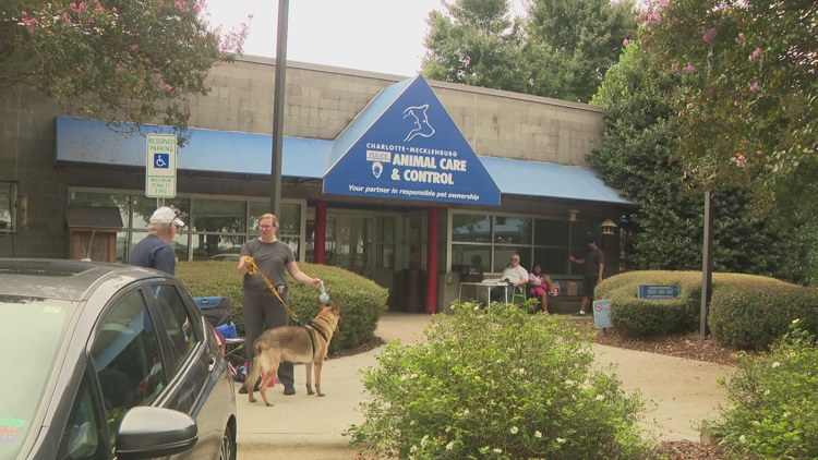 CMPD Animal Care & Control pet adoption