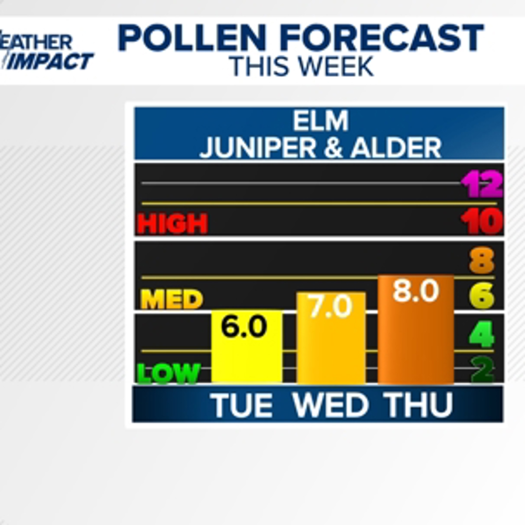 Webcams - Beech Mountain | wcnc.com