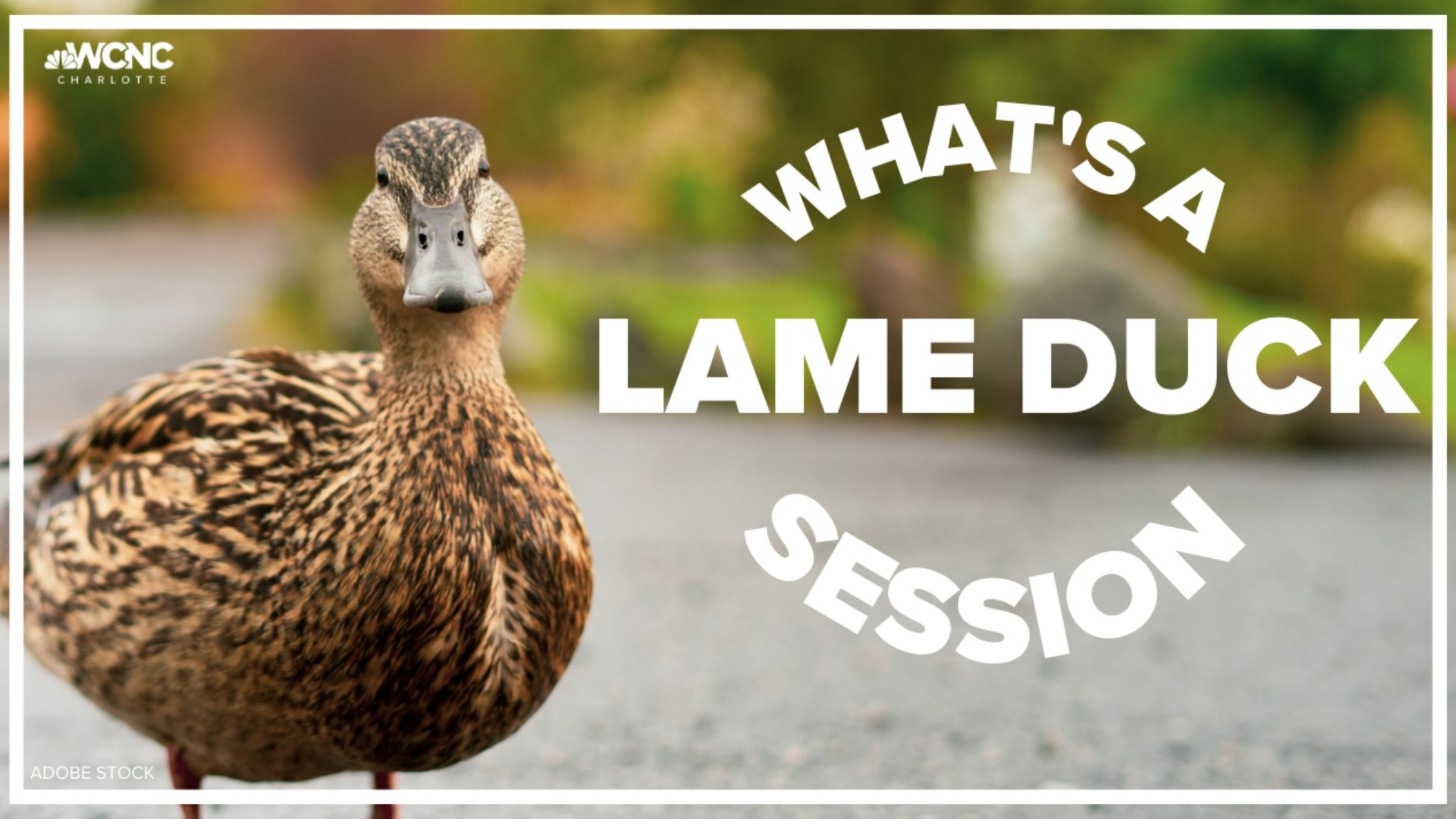 WCNC Charlotte breaks down what a "lame-duck" session means.