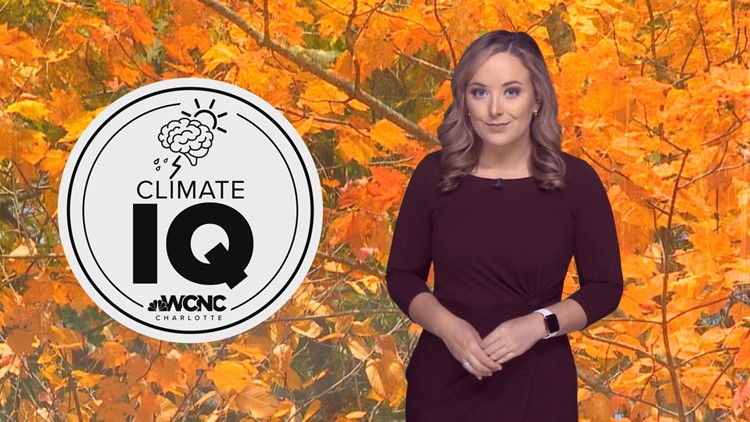 Climate change's impact on fall foliage