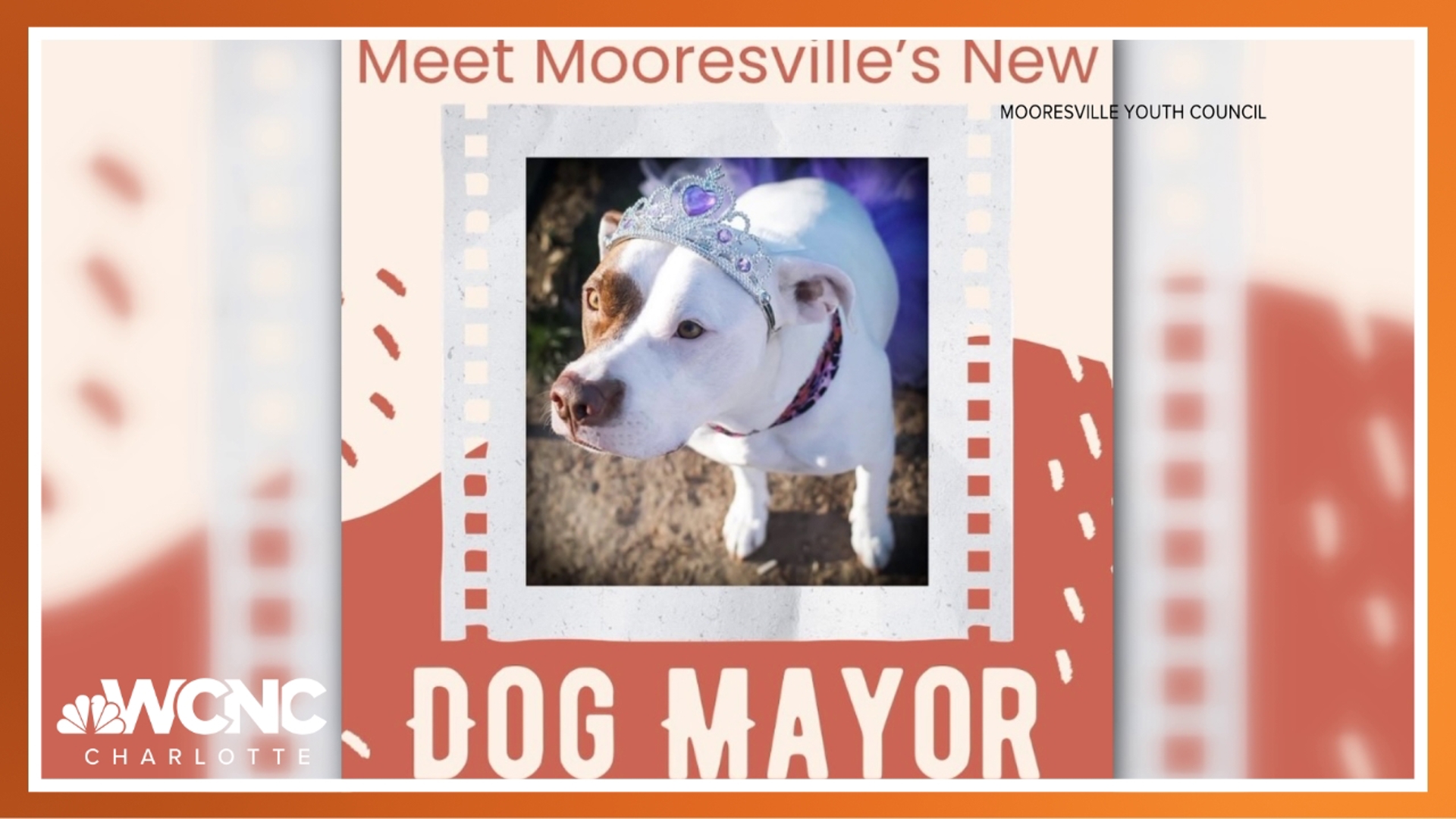 Mooresville has a new four legged mayor! The Mooresville Youth Council announced that Reya will serve as the town's new dog mayor.