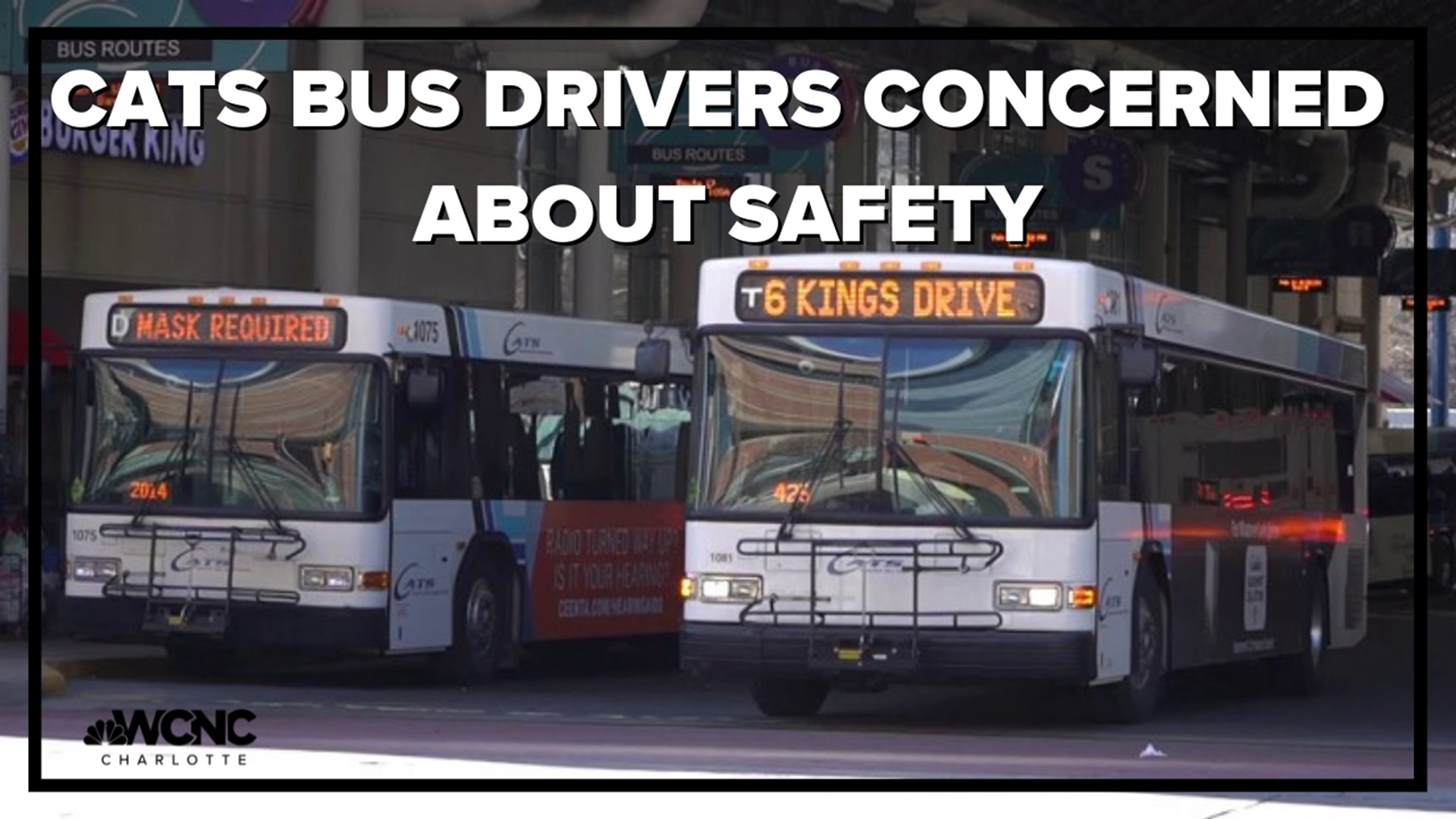 CATS bus drivers want safety to remain a top priority