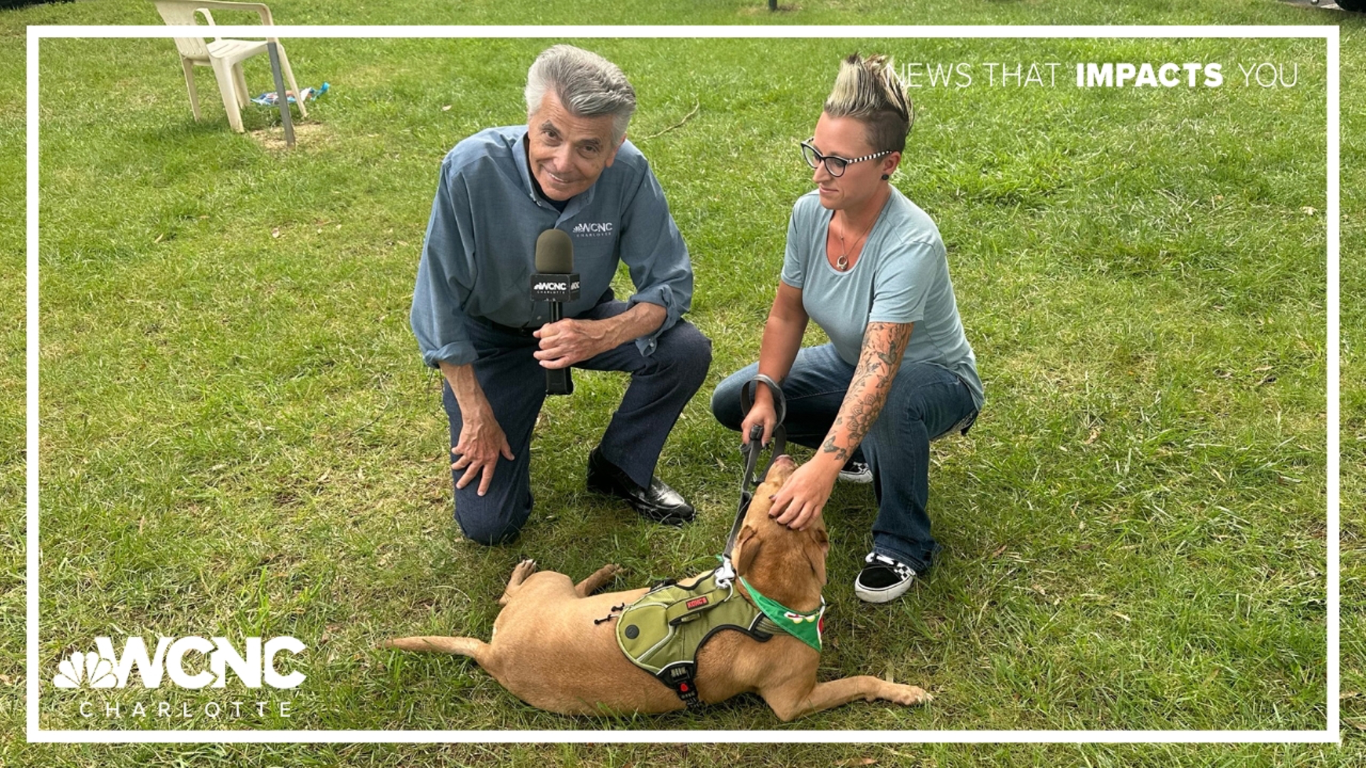 Clear the Shelters is entering its 11th year of finding pets their forever home. 