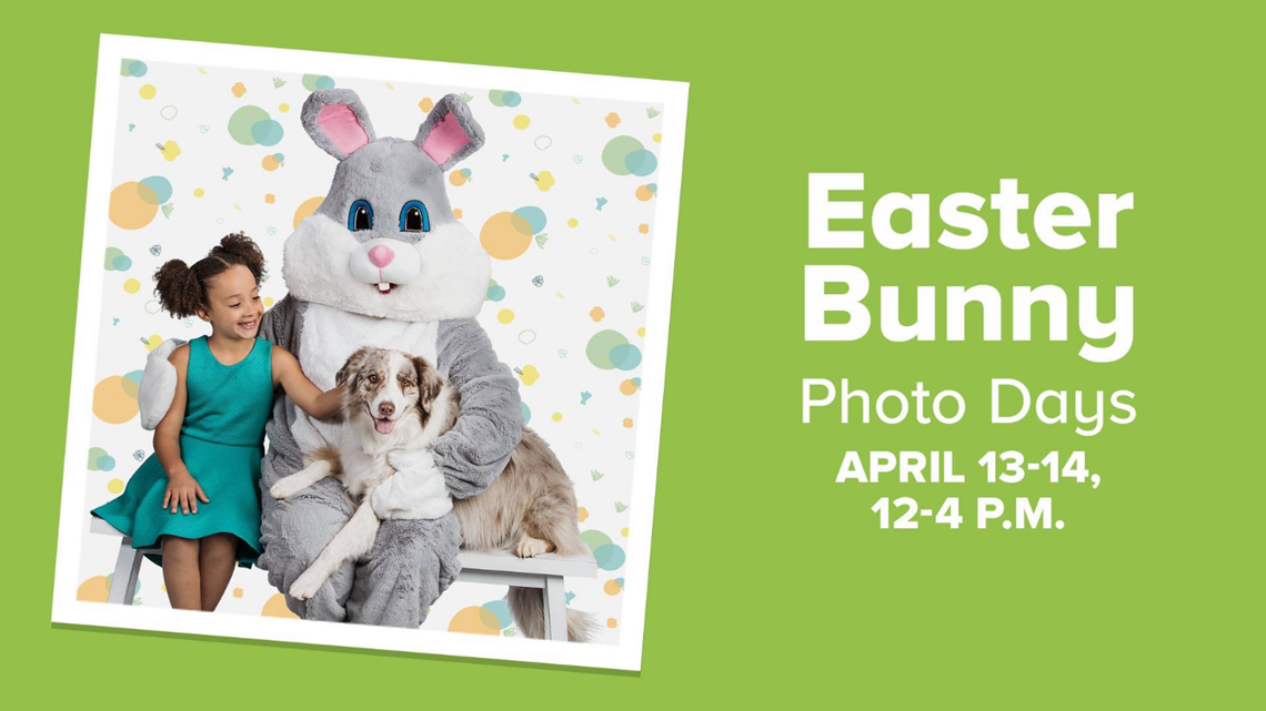 Hop into PetSmart for free pictures with the Easter Bunny