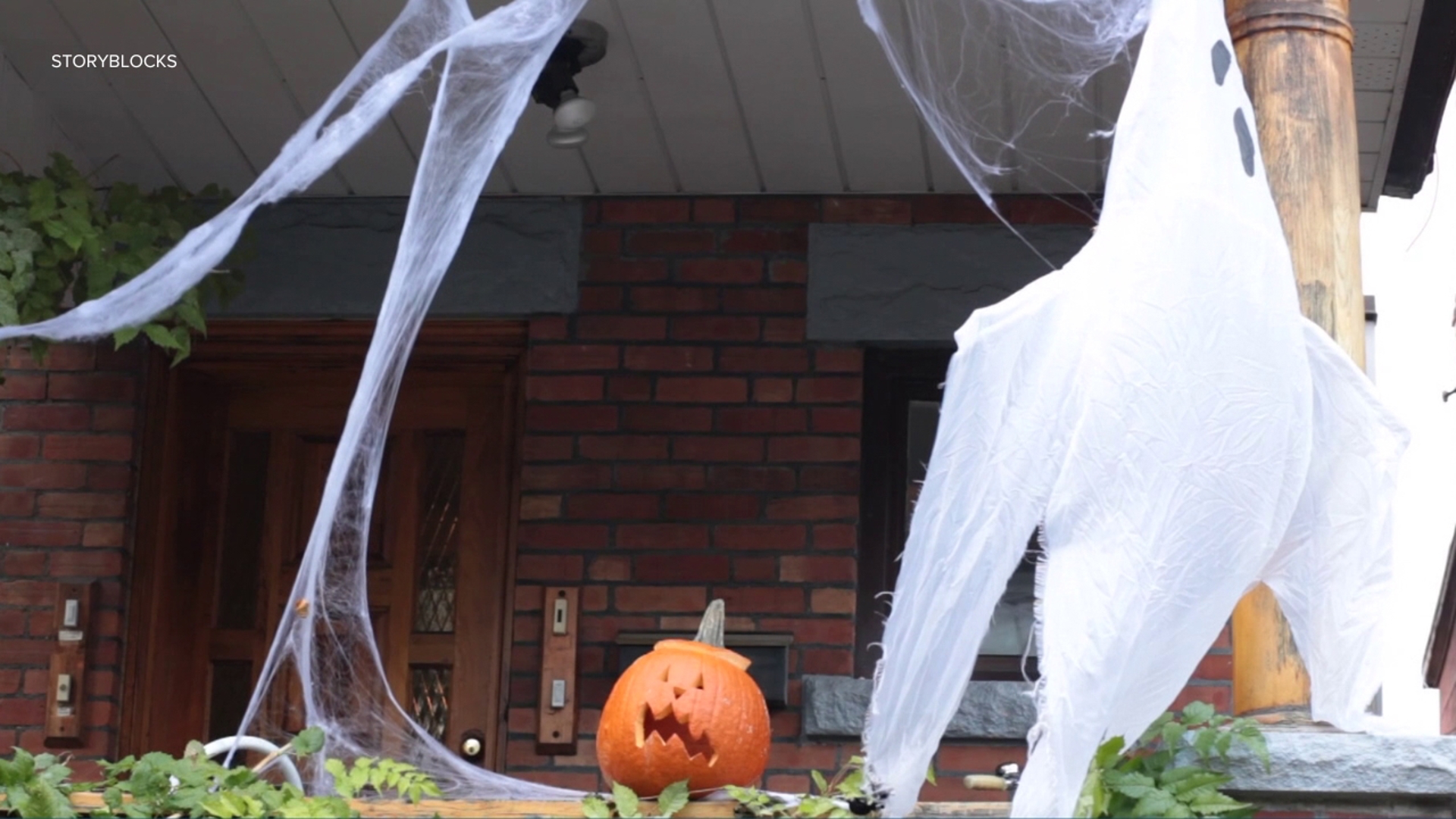 More people may be putting up outdoor holiday decor this weekend. But could some of those items hurt animals?