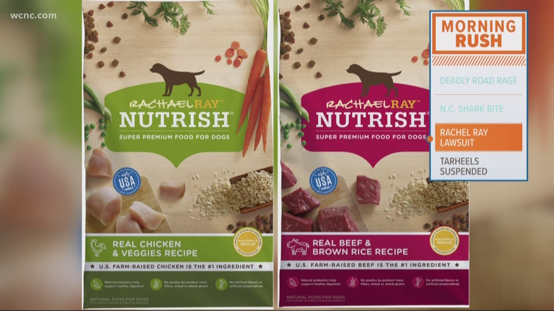 Rachael Ray sued over dog food ingredients