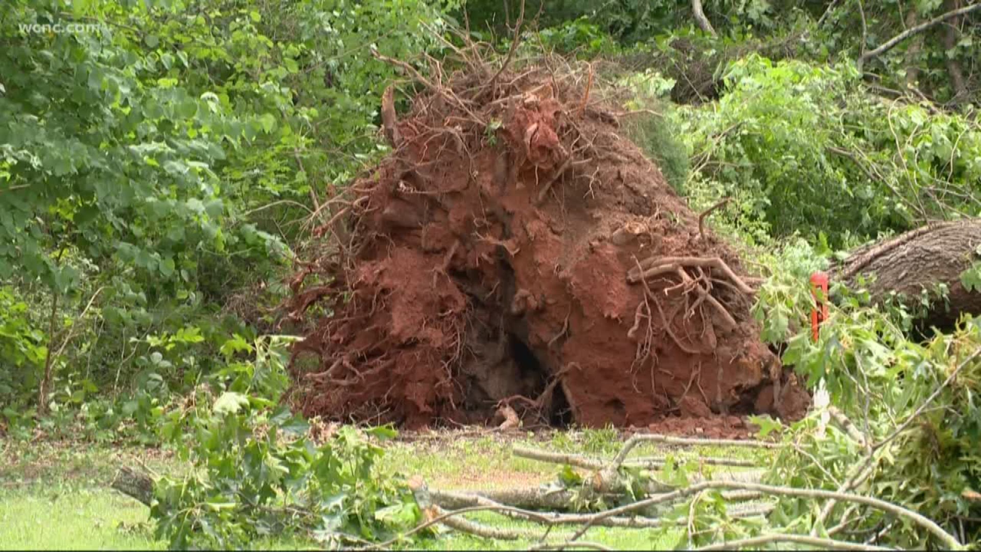 Strong storms ripped through York County Wednesday night leaving a path of damage behind.