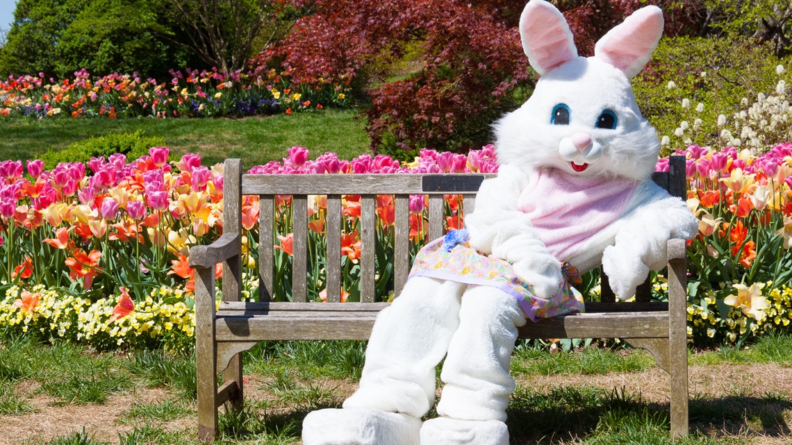 Where to take photos with the Easter Bunny around Connecticut