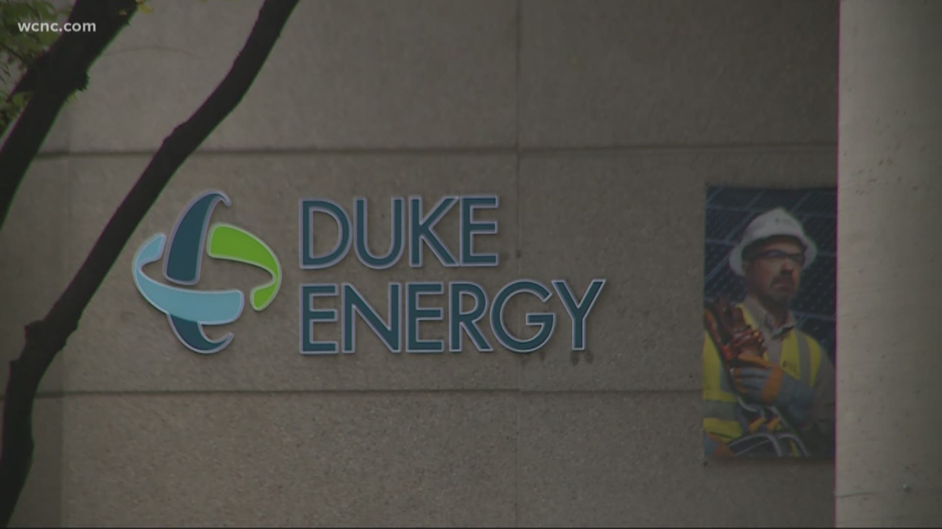 An NBC Charlotte Defenders investigation showed that Duke Energy has amassed a huge backlog on trimming trees near power lines in the Charlotte area.