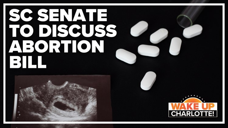 SC Senate committee set to discuss abortion bill