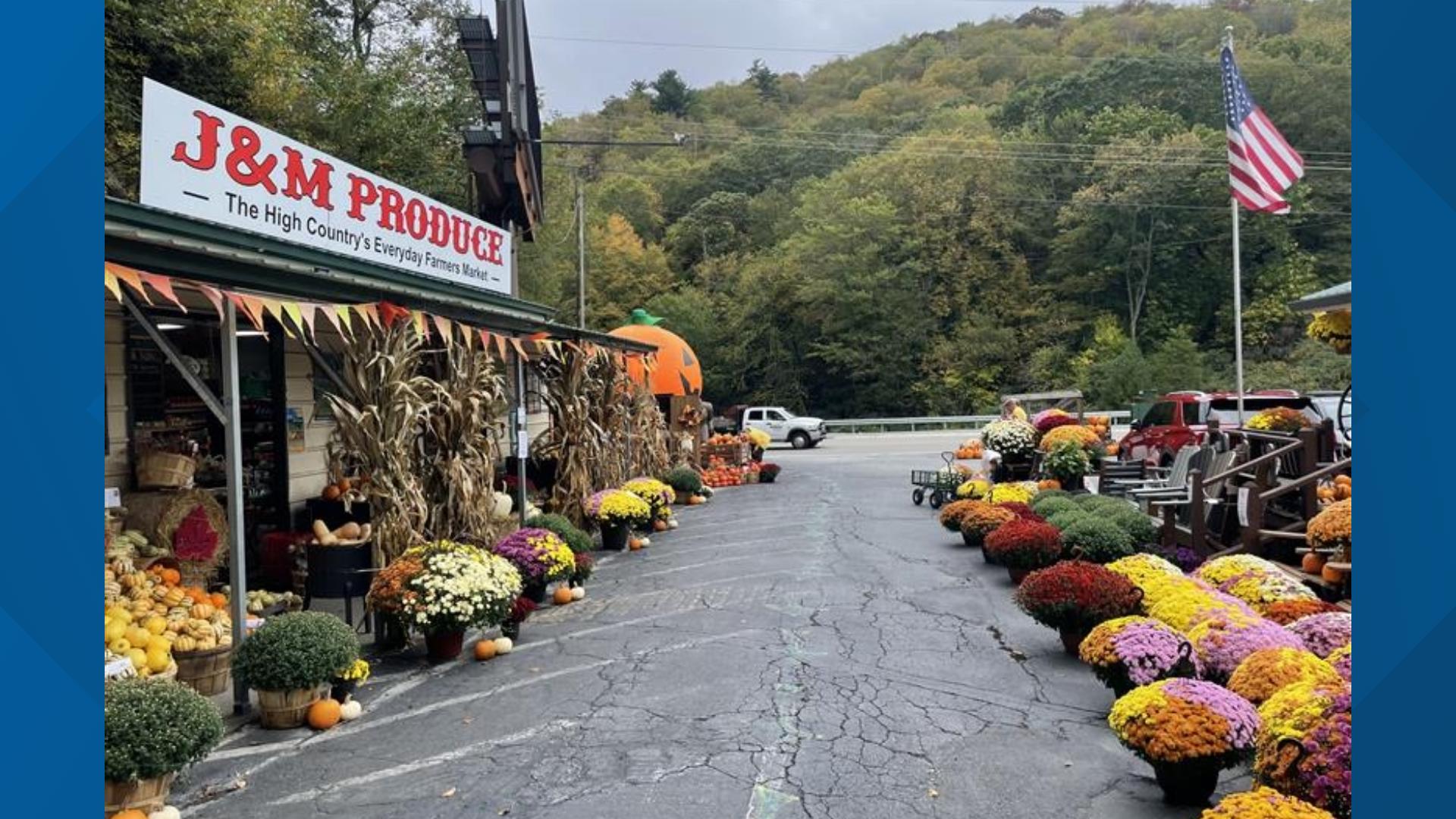 Businesses along Highway 321 in NC recovering in Helene's wake | Local ...