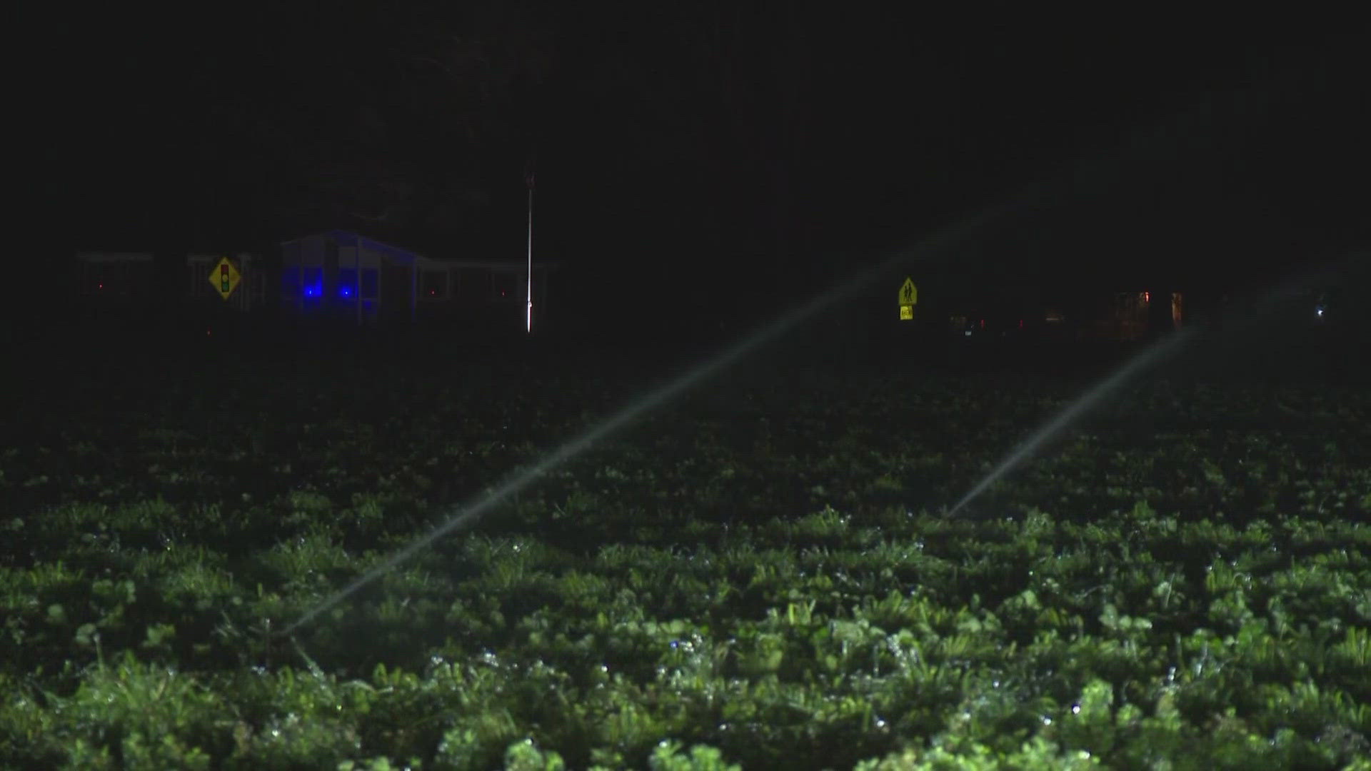wcnc.com - Richard DeVayne - Carrigan Farms uses freeze protection irrigation to save crops amid cold snap
