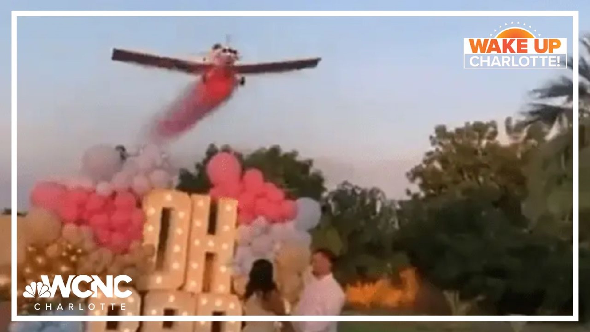 A pilot was killed in a plane crash over a gender reveal party in Mexico. Have these celebrations gone too far?