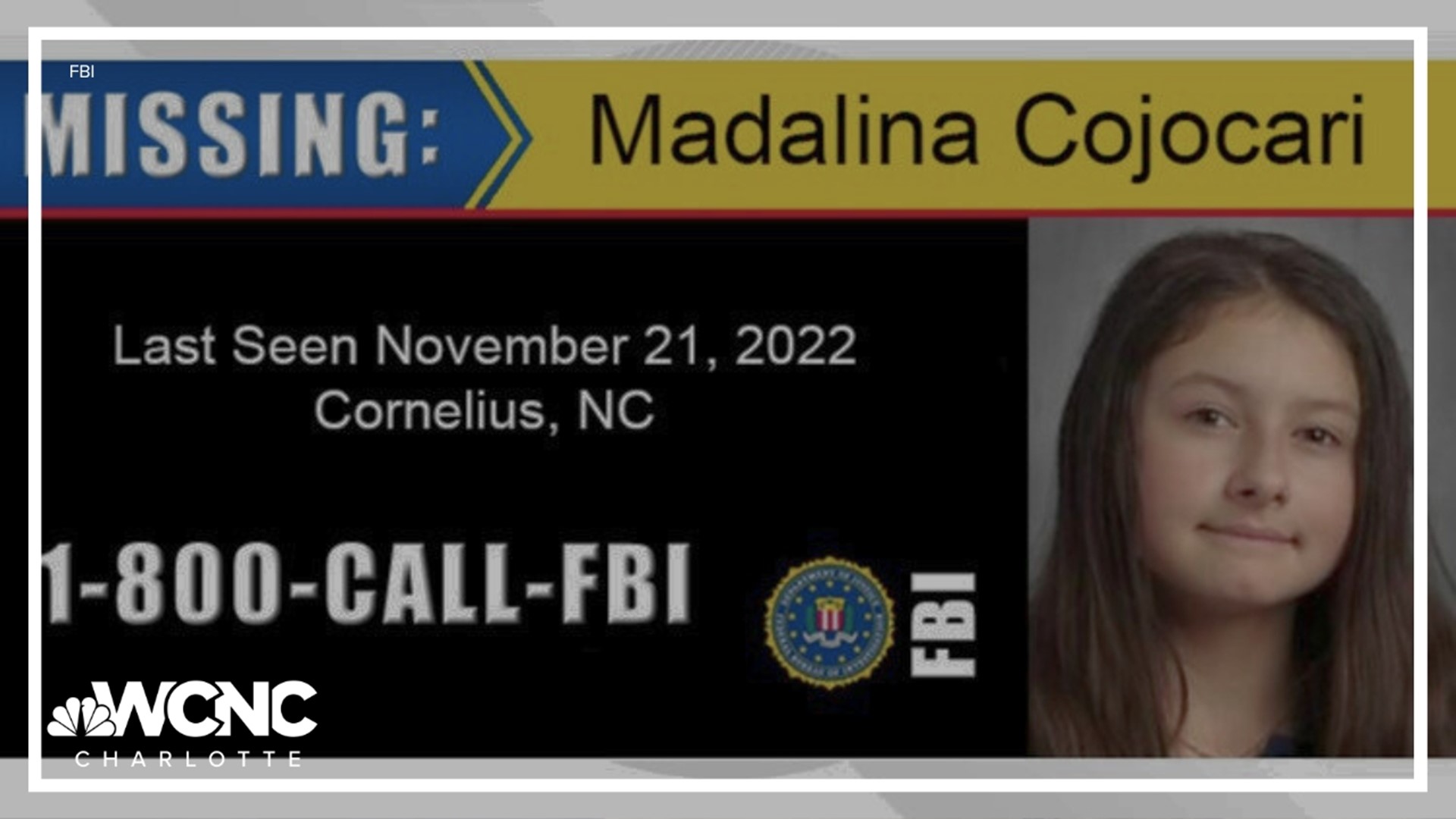 Madalina Cojocari was last seen just over a year ago, on Nov. 21, 2022.