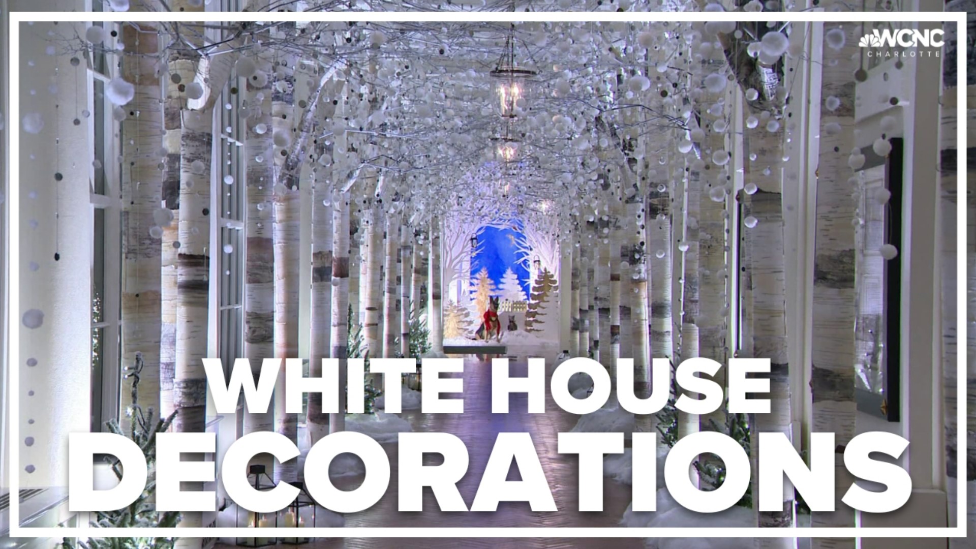 Jill Biden Unveils White House Christmas Decorations: Photos