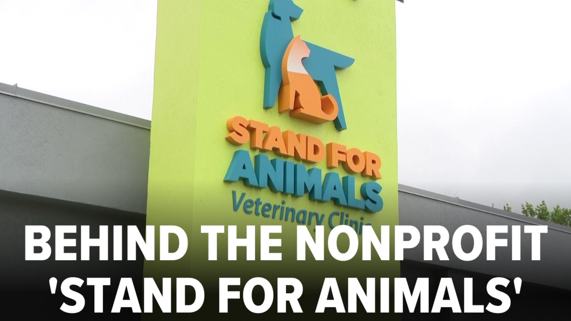 stand-for-animals-has-a-mission-in-charlotte-wcnc