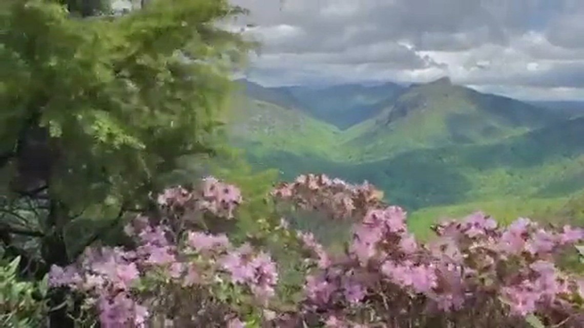 Shortoff Mountain. Linville Gorge, NC | wcnc.com