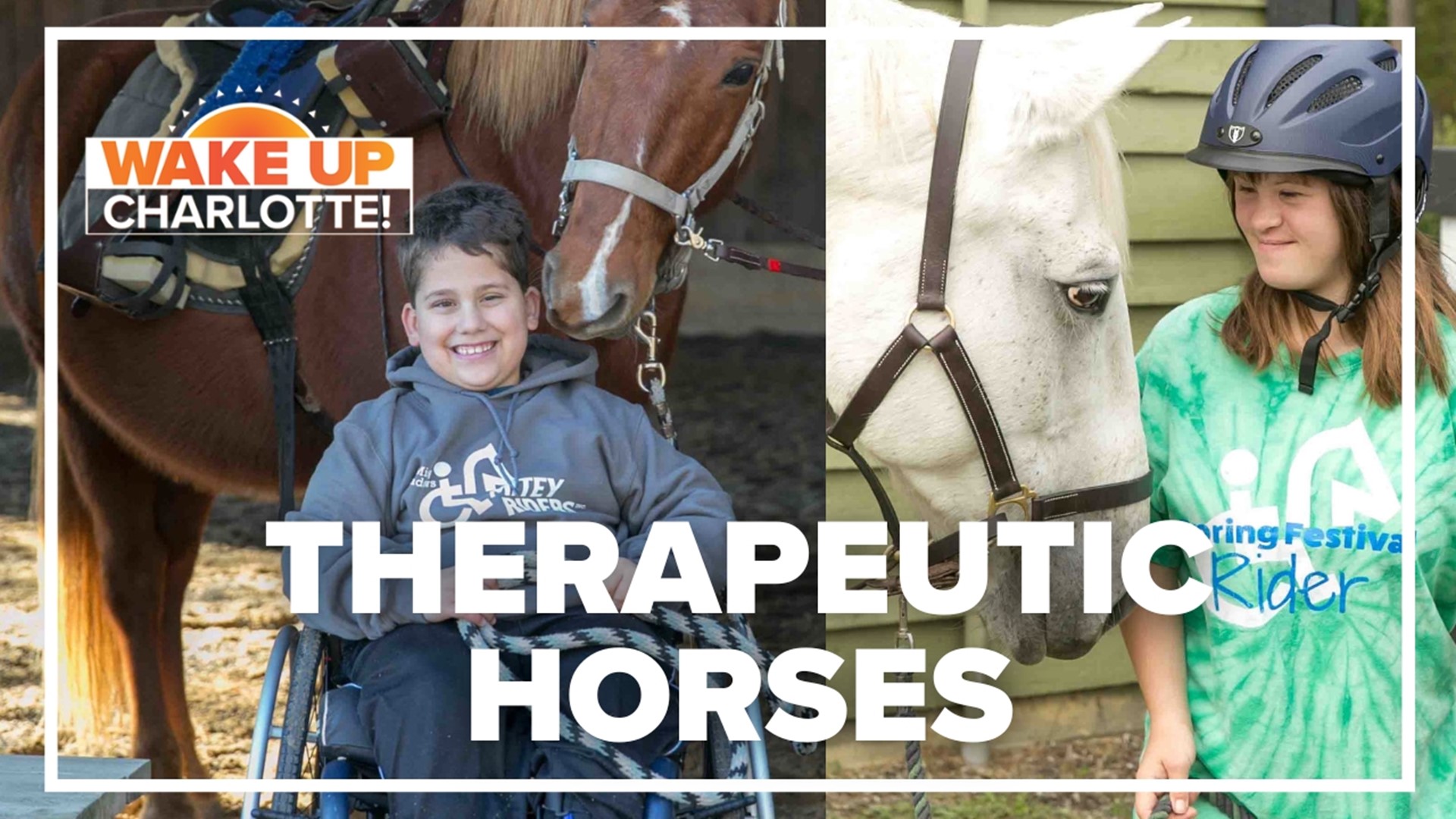 They provide free therapeutic horseback riding for kids with special needs