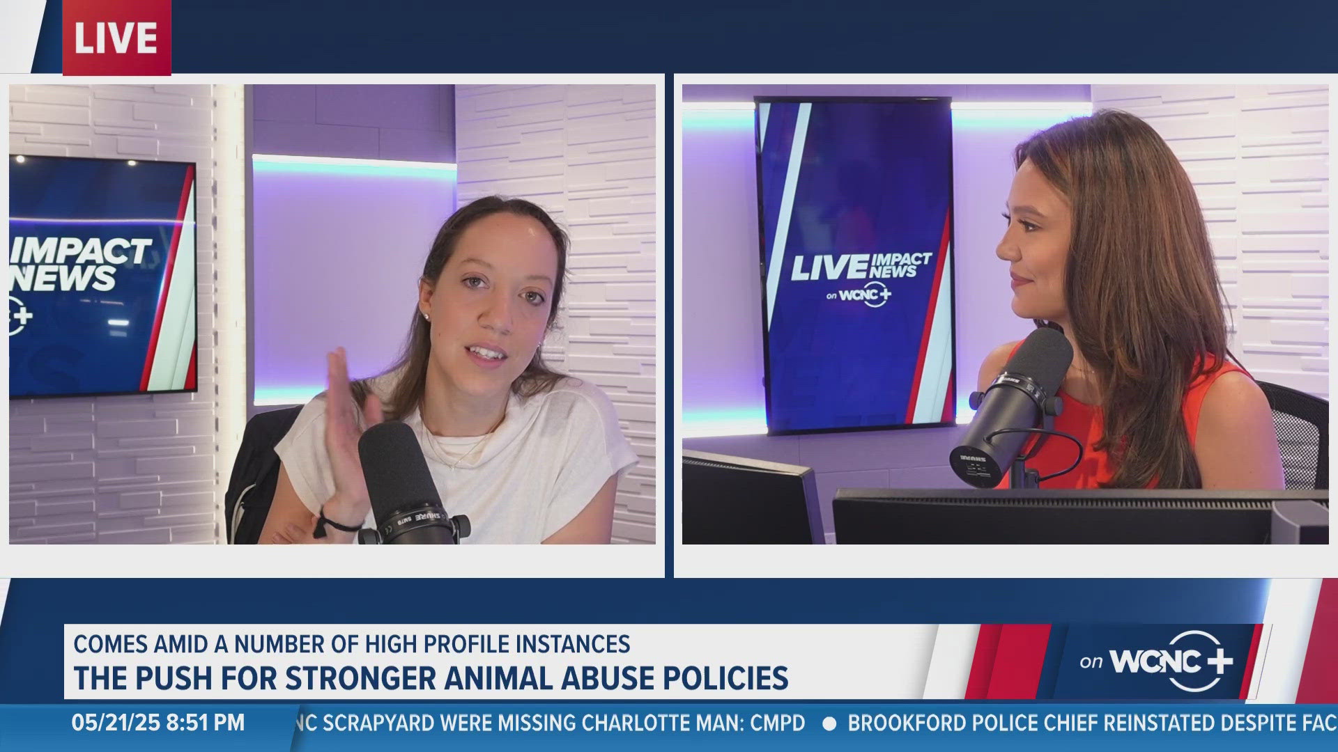 Numerous high-profile cases of animal abuse in the Charlotte area in recent weeks have sparked conversations about the issue.