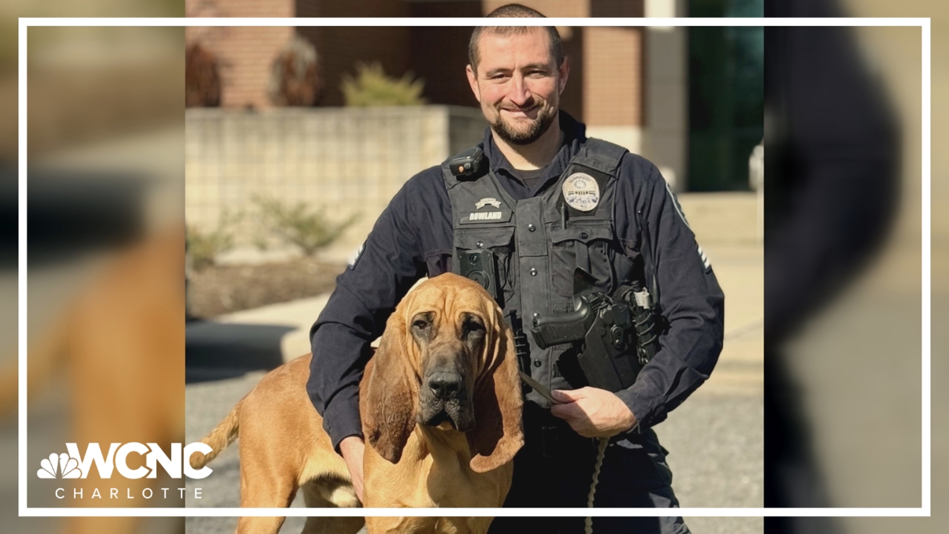 Bo the bloodhound is credited with several successful tracks, including a 7-mile search for a child taken at knifepoint.