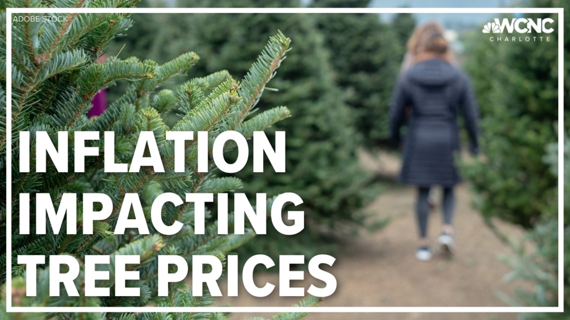 Inflation impacting Christmas tree prices