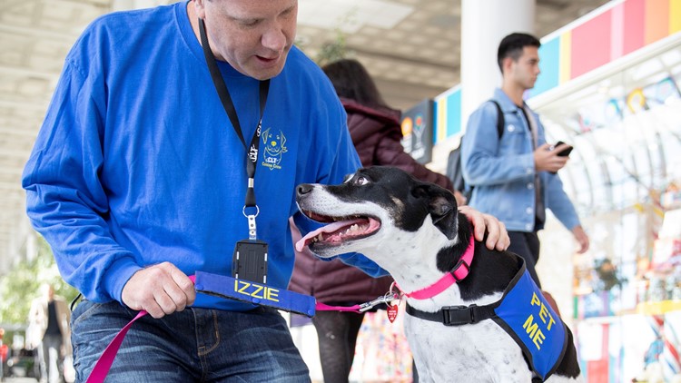 'We're here to bring smiles' | These dogs are working hard at the Charlotte Airport