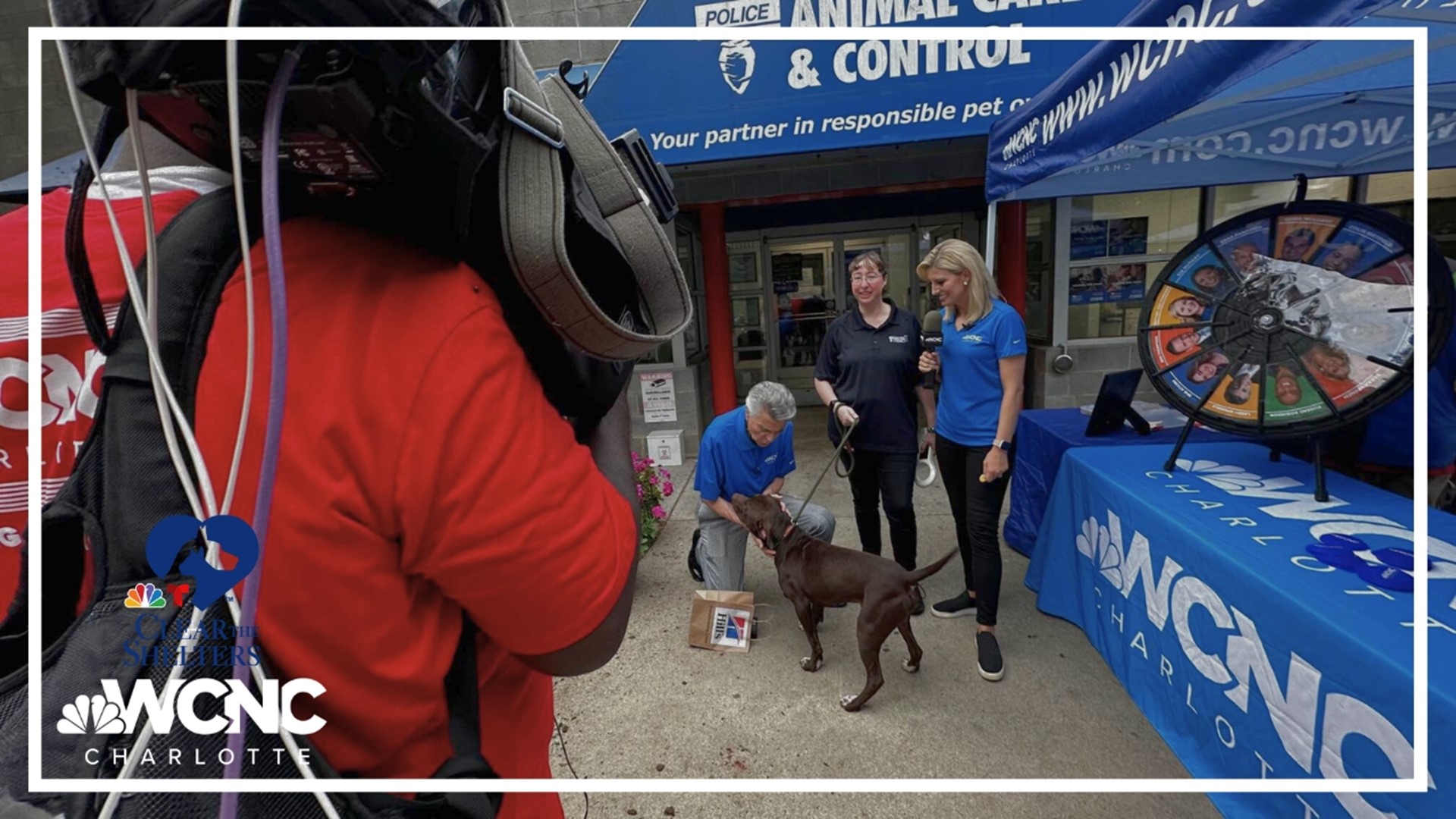 Help pets find forever homes through Clear the Shelters adoption | wcnc.com