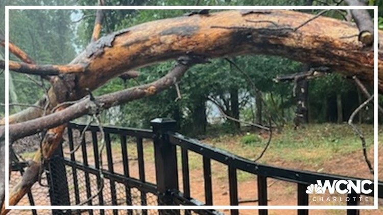 Ian causes flooding, brings down trees across the Carolinas