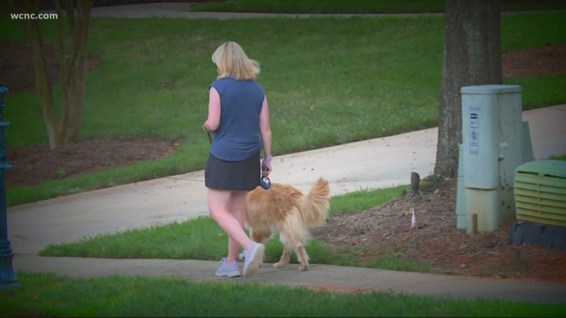 Neighbors in Ballantyne are being urged to call police if they see anything suspicious after a woman who was walking her dog had a strange encounter with a man.