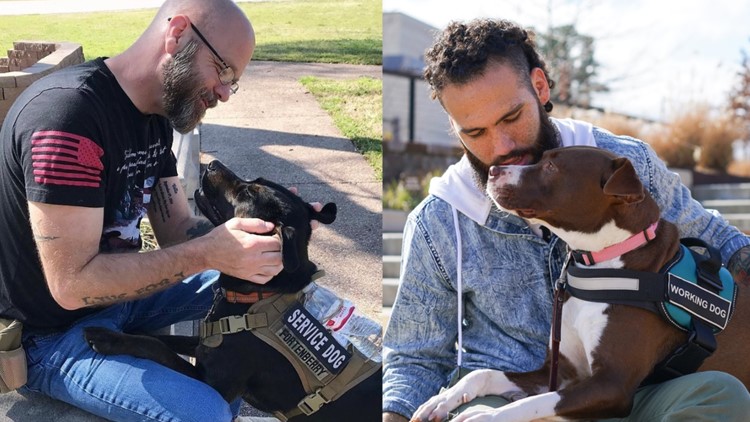Pit bulls slated for euthanasia are given new lives with veterans