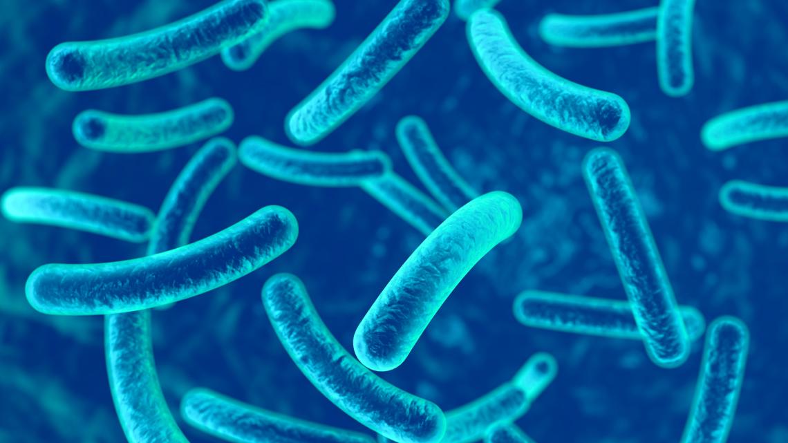 Tuberculosis case reported at North Mecklenburg High School – WCNC