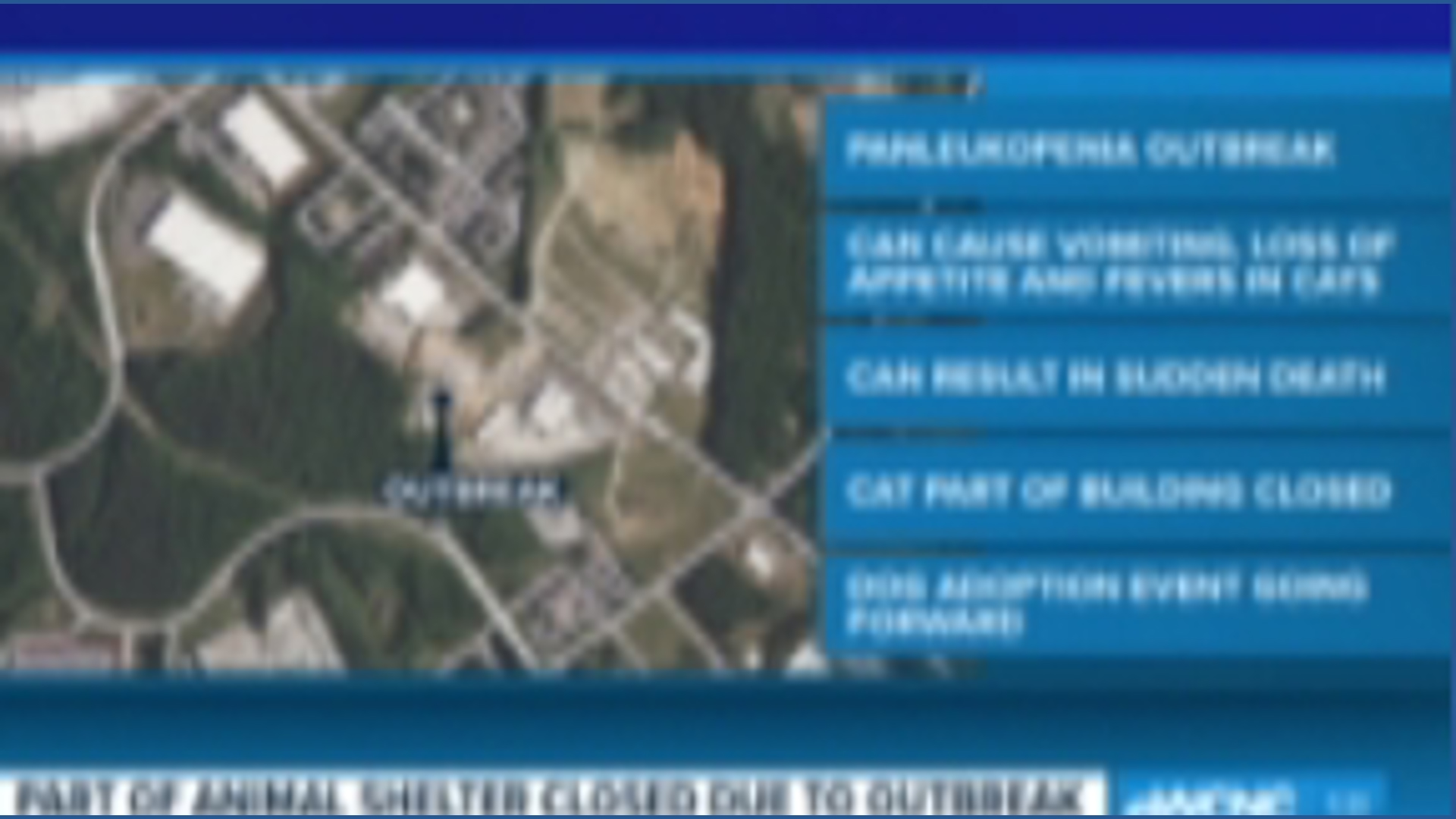 Rowan Animal Services closes cat building | wcnc.com