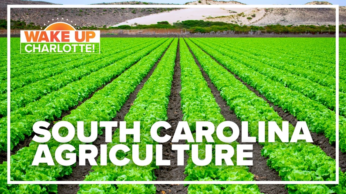 South Carolina Ag Department announces 3 million in grants to expand
