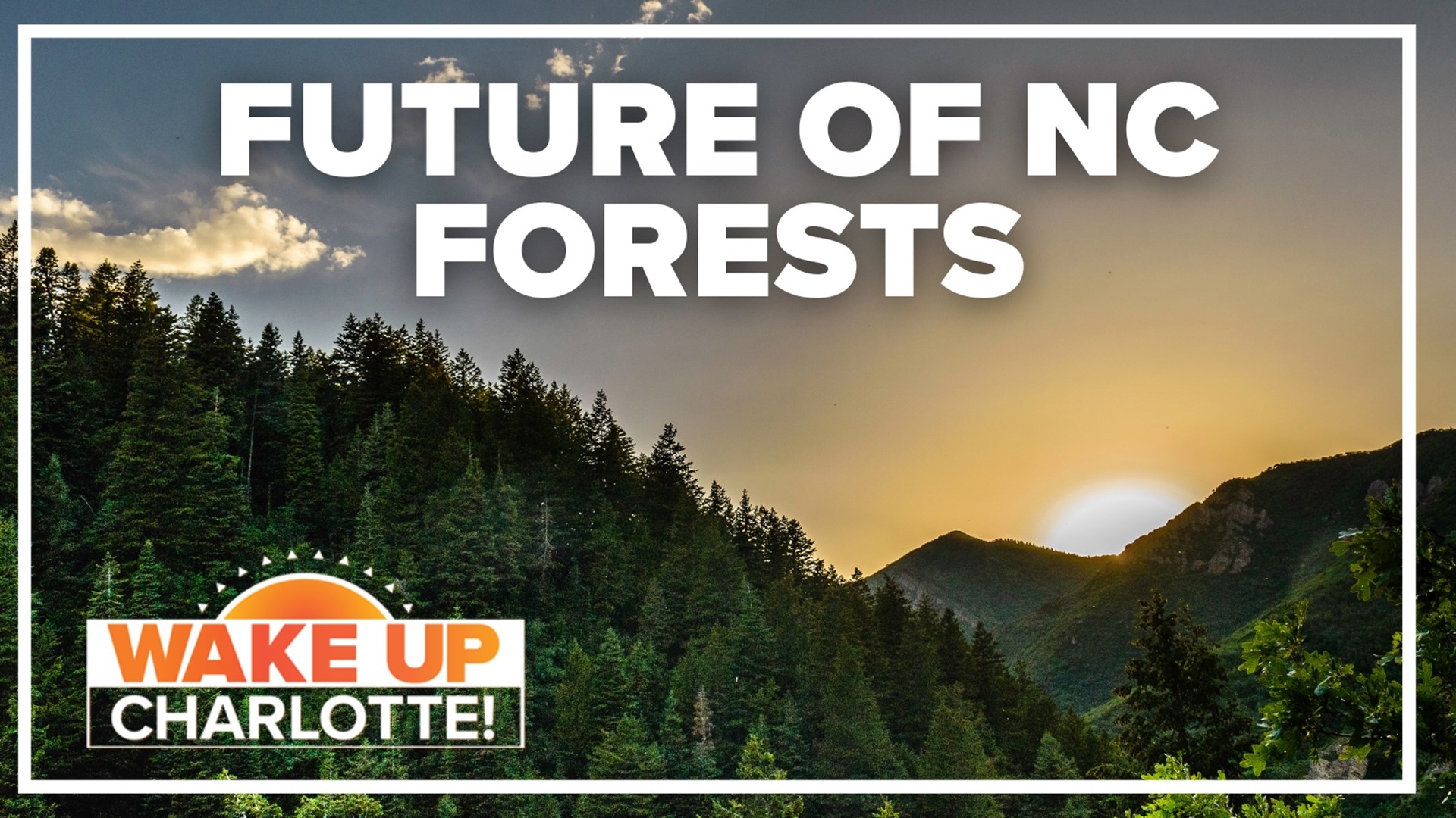 North Carolina's Nantahala and Pisgah national forests are among the most visited in the U.S. Their futures are now in the hands of the U.S. Forest Service.