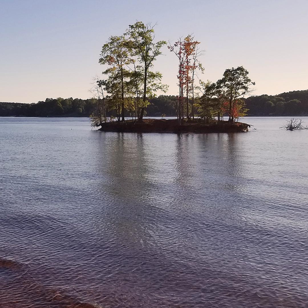Charlotte native swims length of Lake Norman solo | wcnc.com
