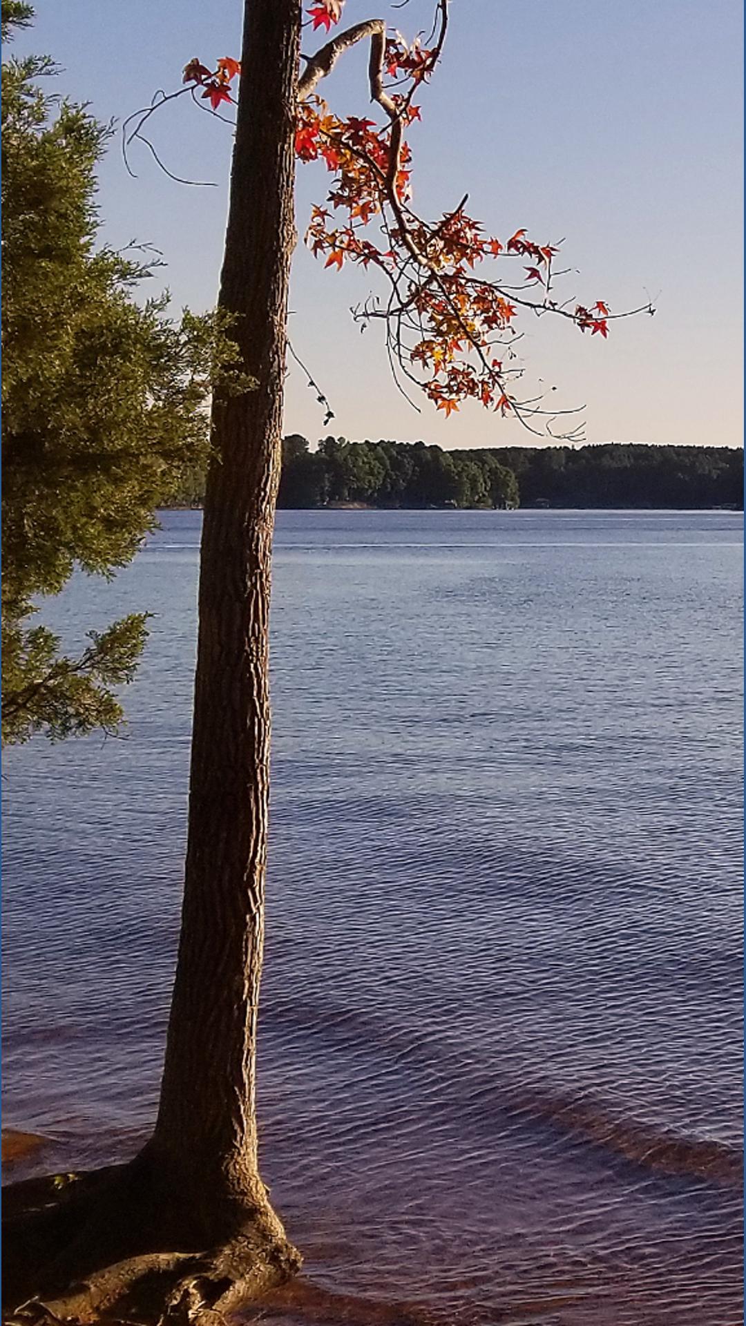 Charlotte native swims length of Lake Norman solo | wcnc.com