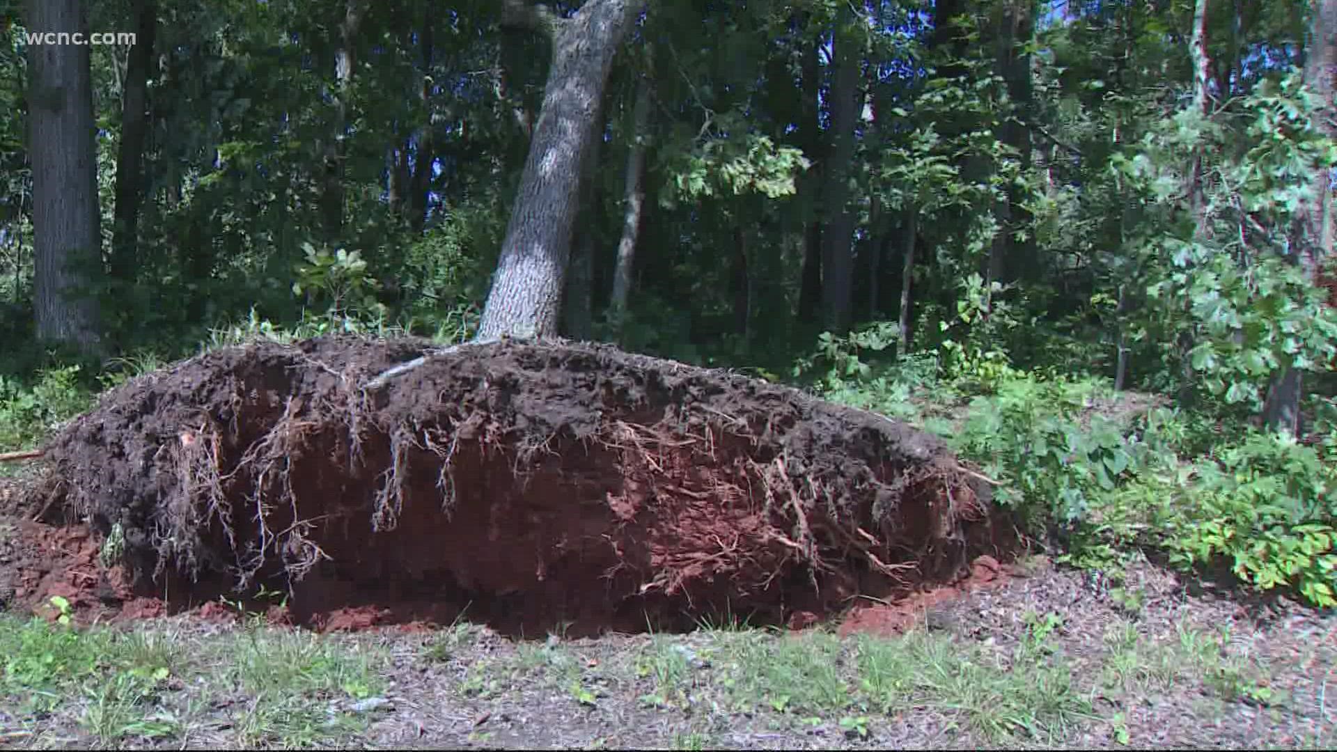 Just after noon on Tuesday, a tornado officially touched down in Iredell County.