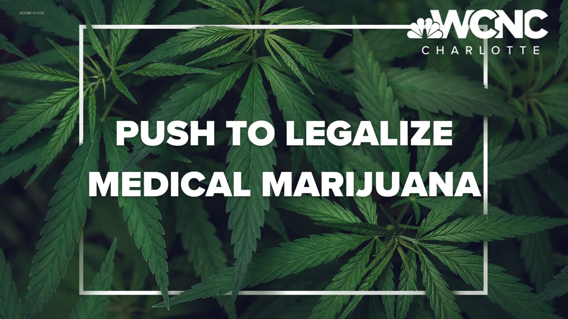 The push to legalize medical marijuana in North Carolina is underway again.