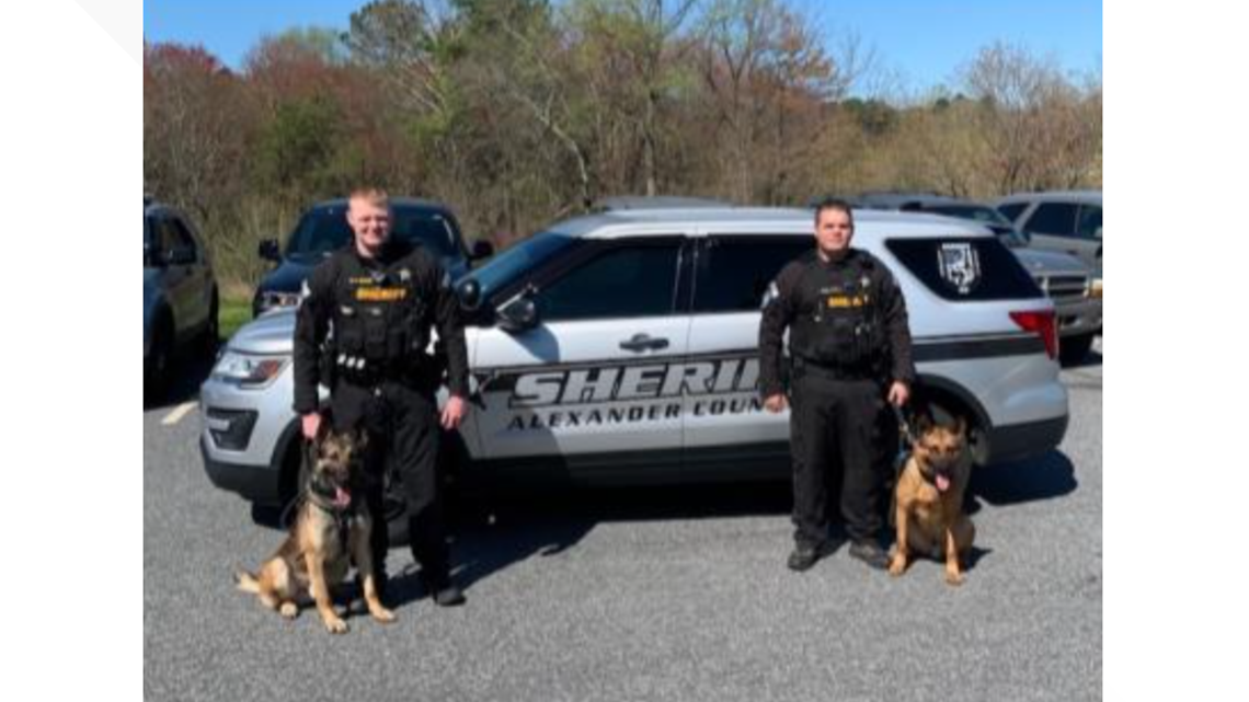 Alexander County police K9s | wcnc.com