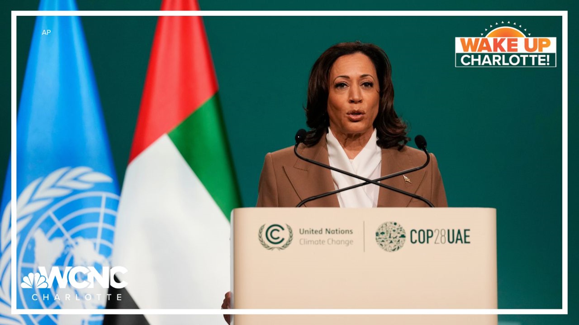 U.S. Vice President Kamala Harris unveiled the plan at the United Nations climate conference in Dubai.